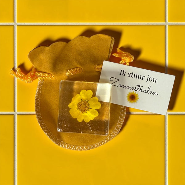 Ik stuur jou zonnestralen