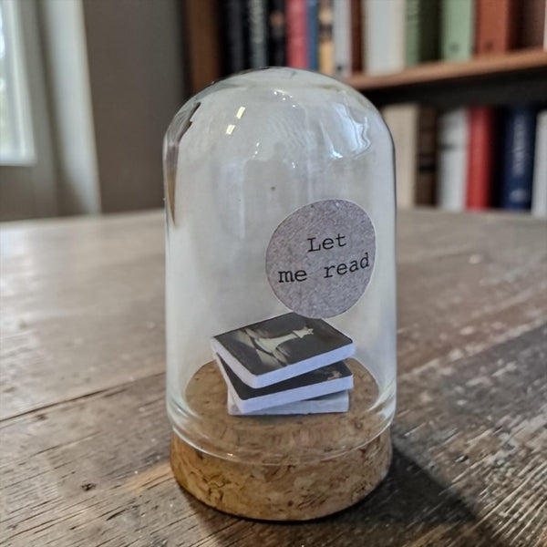 Mini Boekjes in Stopje – Let Me Read