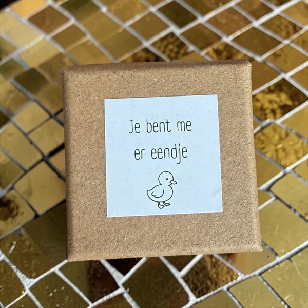 Doosje je bent me er eendje messing