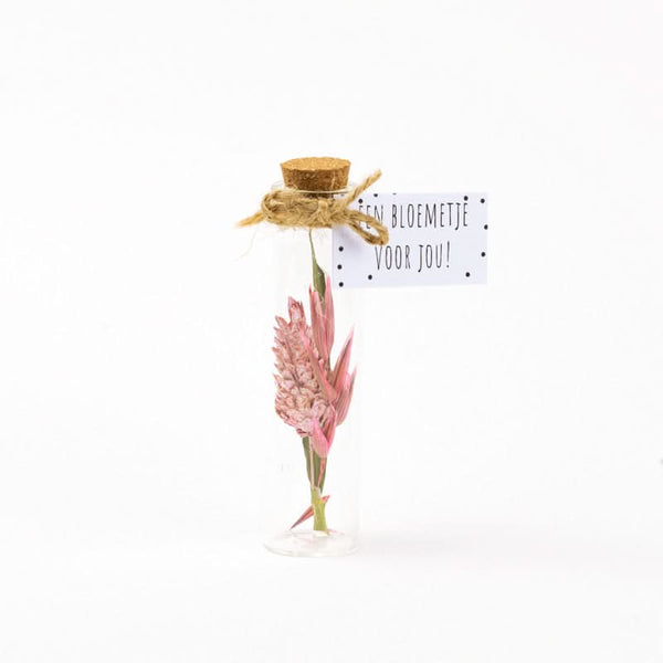 Droogbloem boeket roze 8cm