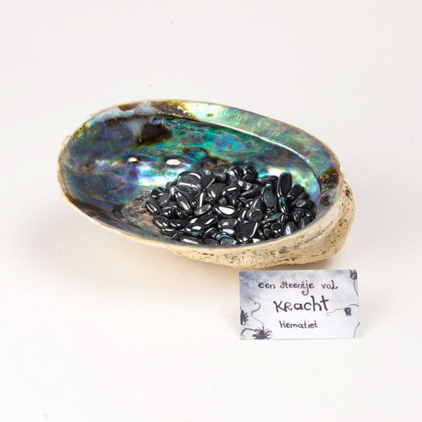Ontlaad set Abalone schelp Hematiet