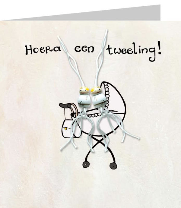 Gelukskaart: Tweeling!