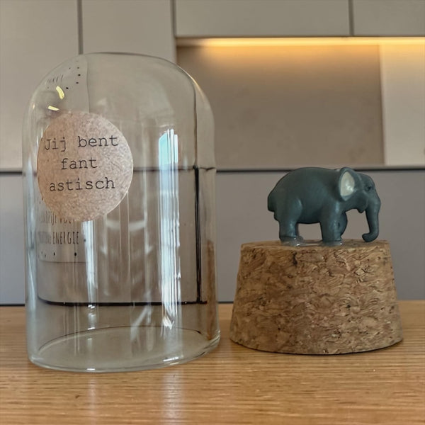 Jij bent -fan-tastisch – Olifant onder Glas