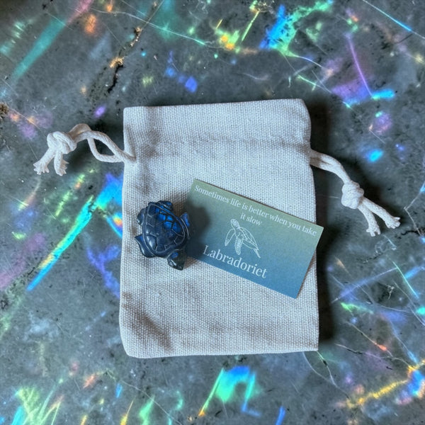 Labradoriet Schildpad take it slow