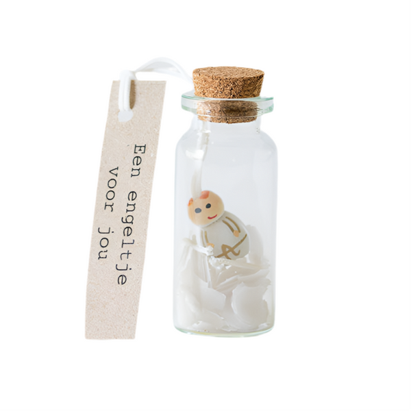 Geluksengeltje mini geluksflesje sidedish-shop