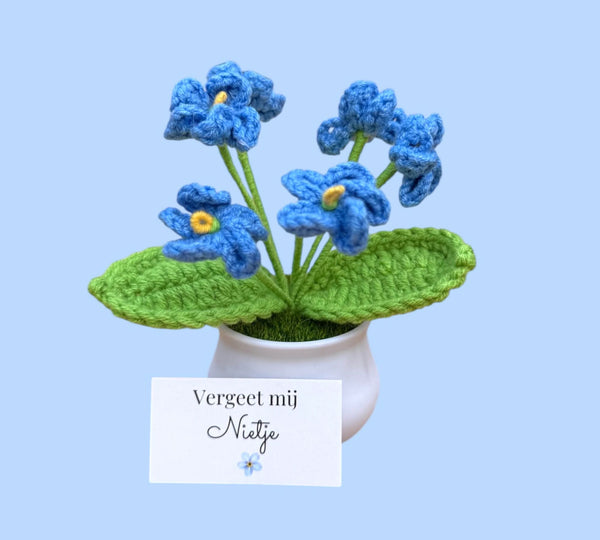 Vergeet mij nietje in potje