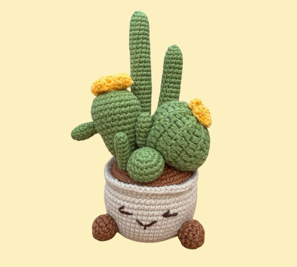 Cactuspot