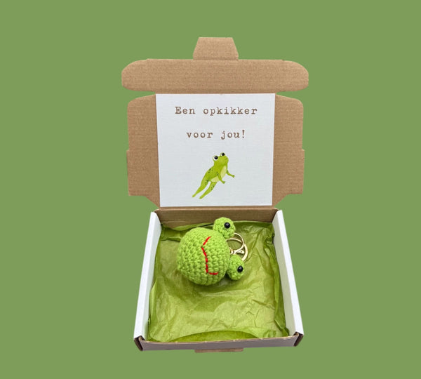 Doosje opkikker kikker in doosje
