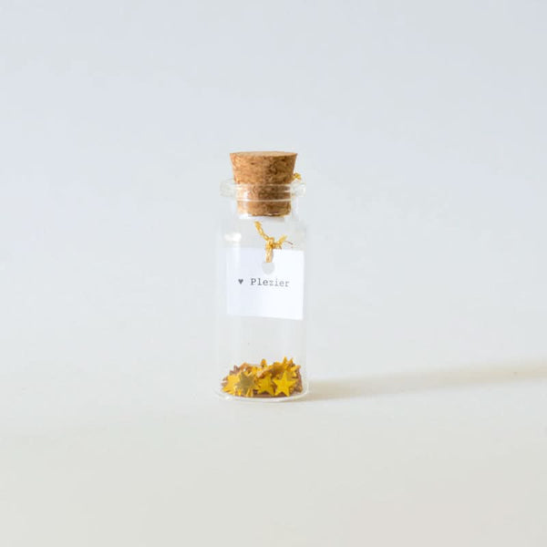 Flesje letters plezier