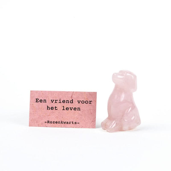 Hondje Rozenkwarts vriend