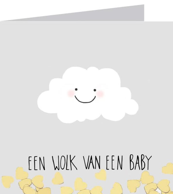 ZW Wolk