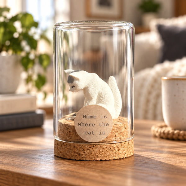 Home is where the cat is – zittende kat