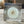Paardebloem in plexi glas