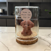 Labradoodle in stolp Home is where the dog is