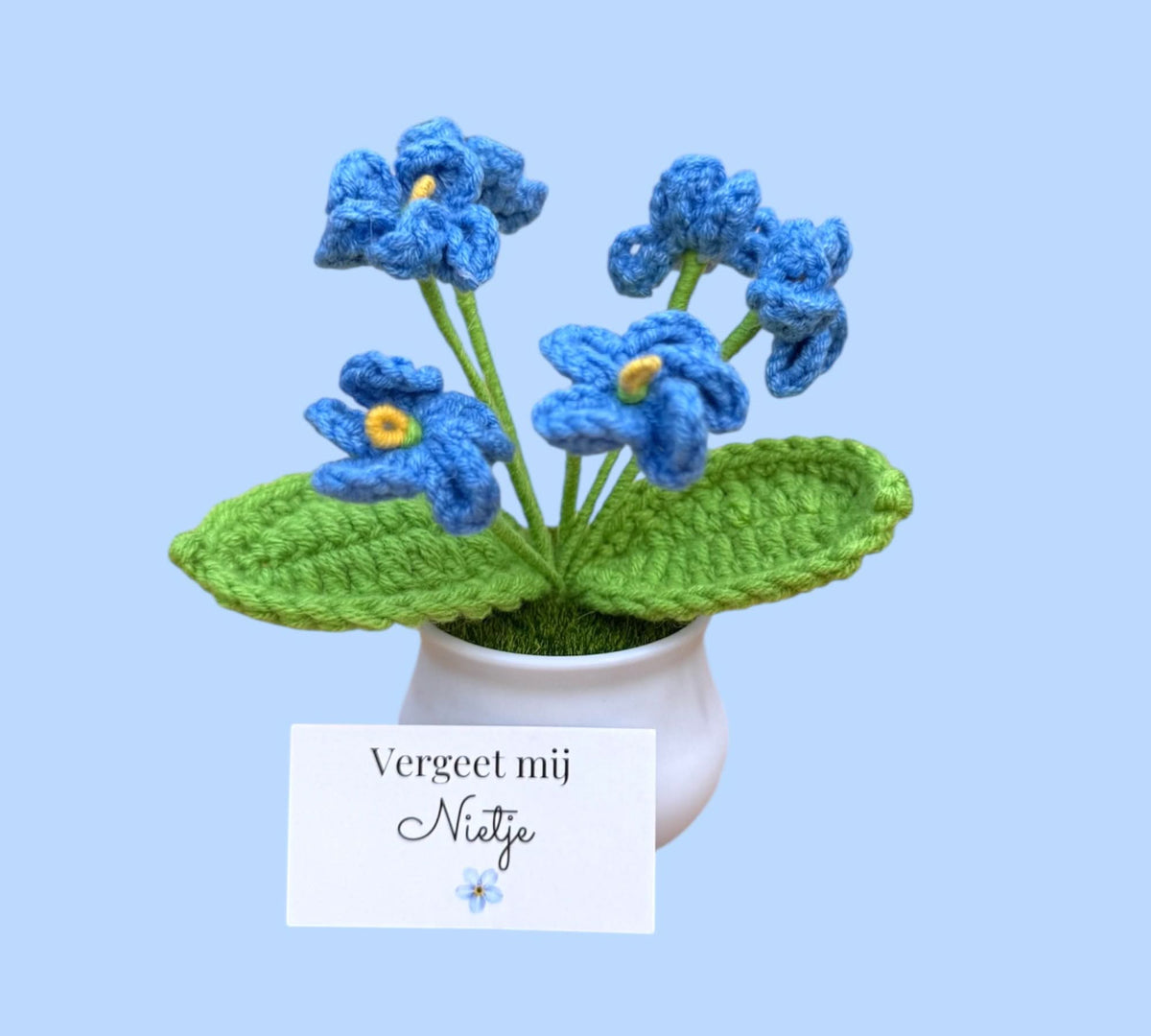 Vergeet mij nietje in potje