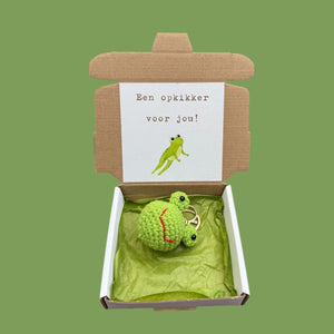 Doosje opkikker kikker in doosje 
