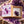 Amethist cadeaudoosje op ruwe amethist