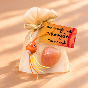 Carneool knuffelsteen in cadeauzakje – Vreugde