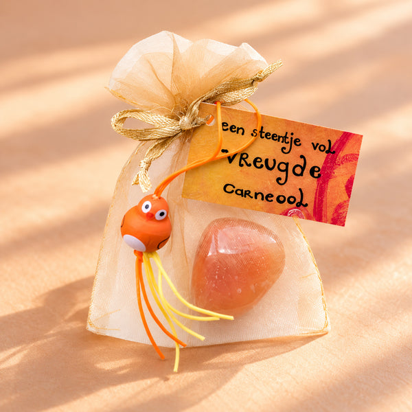 Carneool knuffelsteen in cadeauzakje – Vreugde