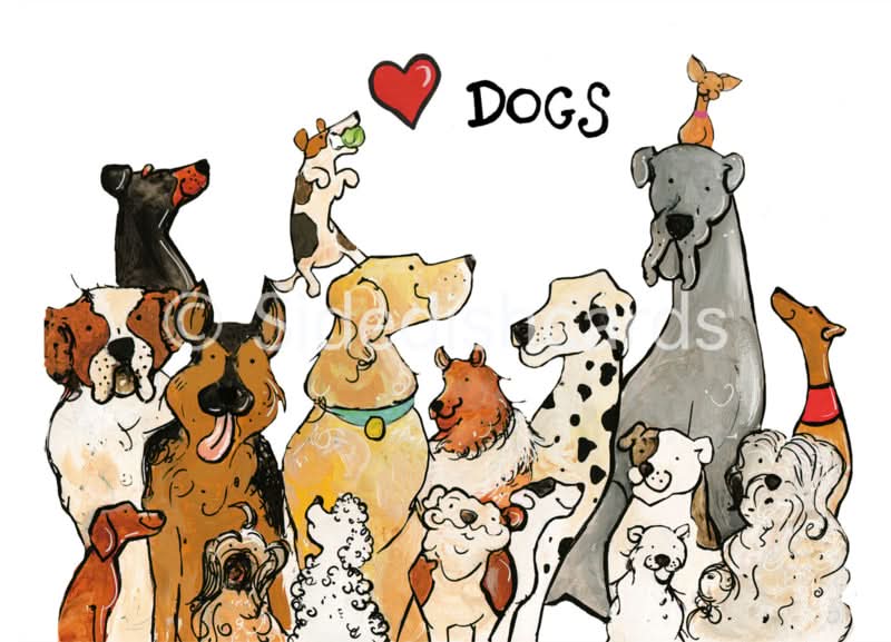Honden ansichtkaart