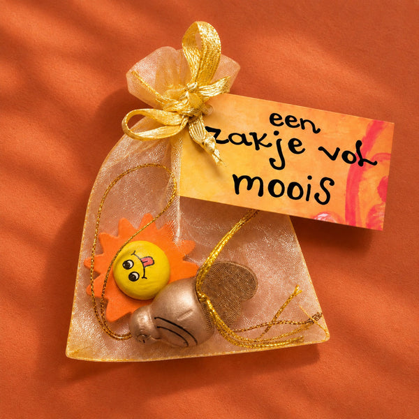 Zakje vol moois plat op gekleurde achtergrond